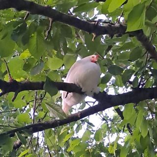 Na znovu otevřeném blogu jsem začala znovu psát své příhody. Trochu se trápím s vizuálem, ale snad na to časem přijdu, jak...